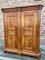 Alsatian French Directoire Wardrobe, 1800s 1