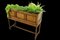 Antique Oak Planter Stand, 1920s 2