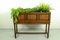 Antique Oak Planter Stand, 1920s 9