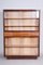 Mid-Century Modern Bookcase in Mahogany and Ash, Czechia, 1940s 2