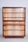 Mid-Century Modern Bookcase in Mahogany and Ash, Czechia, 1940s 4