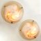 Large Brass & Murano Glass Wall Lights or Flush Mounts, 1960s, Set of 2 5