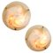 Large Brass & Murano Glass Wall Lights or Flush Mounts, 1960s, Set of 2 9