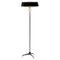 Floor Lamp from Hiemstra Evolux 1