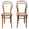 Chairs in the Style of Thonet, 1930s, Set of 2 1
