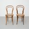 Sedie nello stile di Thonet, anni '30, set di 2, Immagine 9