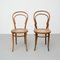 Stühle im Stil von Thonet, 1930er, 2er Set 9