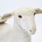 Limited Edition Xai Lambs von Salvador Dali, 4er Set 10