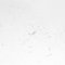 Massimo Bartolini, Dust Chaser 2, 2014, Incisione su lastra di rame, Immagine 6