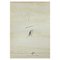 Litografia di Antoni Tàpies, 1964, Immagine 1