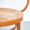 Bentwood Armchair from Ligna 6