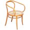Bentwood Armchair from Ligna 1