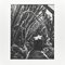 Fotoincisione Brassaï, in bianco e nero, 1979, Immagine 5