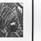 Fotoincisione Brassaï, in bianco e nero, 1979, Immagine 10