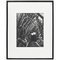 Brassaï, Black and White Photogravure, 1979 1