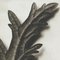 Mid-Century Photogravure by Karl Blossfeldt, 1942 3