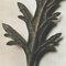 Mid-Century Photogravure by Karl Blossfeldt, 1942 2