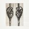 Karl Blossfeldt, Fotoincisione floreale in bianco e nero, 1942, Immagine 4