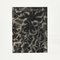 Photogravure Fleur Blanche Noire par Karl Blossfeldt, 1942 4