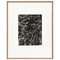 Schwarz-weiße Blumen-Gravur von Karl Blossfeldt, 1942 1