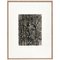 Karl Blossfeldt, Fotoincisione floreale in bianco e nero, 1942, Immagine 1