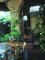 Casa Batlló Bench in Solid Varnished Oak vy Antoni Gaudi 3