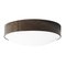 Large Svep Iron Oxide Ceiling Lamp from Konsthantverk 4