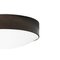 Large Svep Iron Oxide Ceiling Lamp from Konsthantverk 2