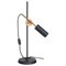 Stav Black Table Lamp by Johan Carpner for Konsthantverk 1