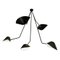 Modern Black Spider Ceiling Lamp with Five Curved Fixed Arms by Serge Mouille 1