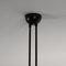 Black 2 Fixed Arms Ceiling Lamp by Serge Mouille 5