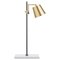 Anatomy Lab Light Table Brass, Porcelain & Steel Table Lamp by Joe Colombo 1