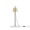 Anatomy Lab Light Table Brass, Porcelain & Steel Table Lamp by Joe Colombo 4