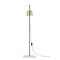 Anatomy Floor Lamp in Brass, Porcelain and Steel by Joe Colombo, Image 4