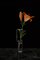Handgefertigte Melancholia Blumenvase aus Glas von Adolfo Abejon, 2017 2