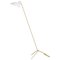 Vv Cinquanta White and Brass Floor Lamp by Vittoriano Viganò for Astep 1