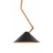 Grenverk Black Brass Ceiling Lamp by Johan Carpner for Konsthantverk Tyringe 2