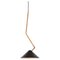 Grenverk Black Brass Ceiling Lamp by Johan Carpner for Konsthantverk Tyringe 1