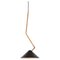 Schwarze Grenverk Deckenlampe aus Messing von Johan Carpner für Konsthantverk Tyringe 1