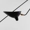 Black 7 Fixed Arms Spider Ceiling Lamp by Serge Mouille 6