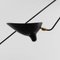 Black 7 Fixed Arms Spider Ceiling Lamp by Serge Mouille, Image 6