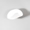 White Conche Wall Lamp by Serge Mouille, Image 2