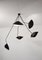 Lámpara de techo Spider de 5 brazos curvos en negro de Serge Mouille, Imagen 6