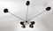 Black 7 Fixed Arms Spider Wall Ceiling Lamp by Serge Mouille 2