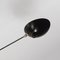 Black 7 Fixed Arms Spider Wall Ceiling Lamp by Serge Mouille 5