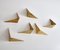 Scandinavian Modern Butterfly Shelves in Brass by Poul Cadovius, 1958, Set of 6 14