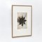 Karl Blossfeldt, Black & White Flower, 1942, Photogravure, Framed 3