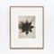 Karl Blossfeldt, Black & White Flower, 1942, Photogravure, Framed 5