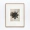 Karl Blossfeldt, Black & White Flower, 1942, Photogravure, Framed, Image 5