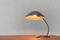 Mid-Century German 6840 Table Lamp from Kaiser Idell / Kaiser Leuchten, Image 32